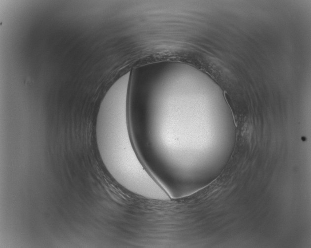 X0000070870868200606161034