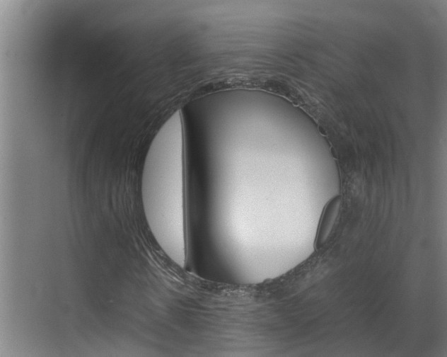 X0000070870914200606161032