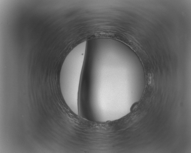 X0000070870915200606161032