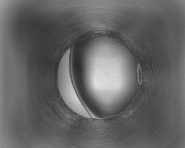 X0000070870916200606161032