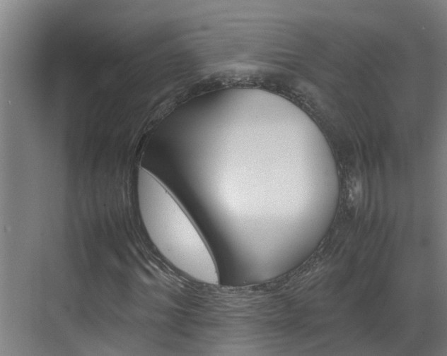 X0000070870964200606161032