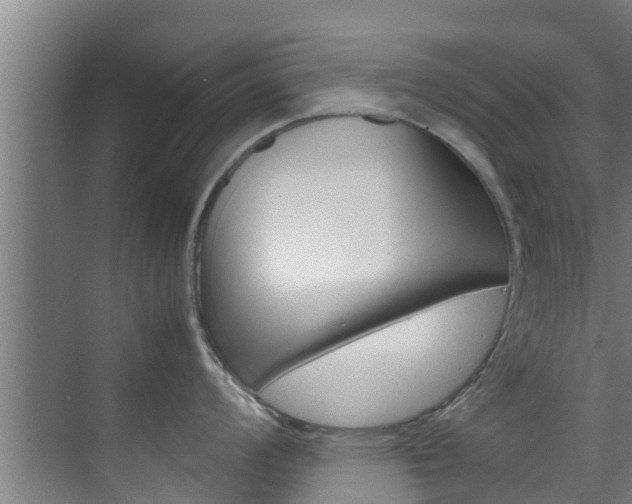 X0000070871008200606161031