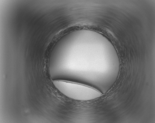 X0000070871016200606161031