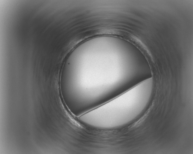 X0000070871033200606161031