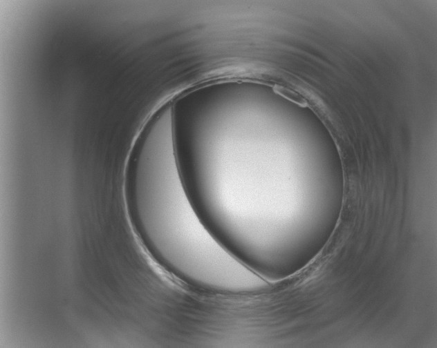 X0000070871034200606161031