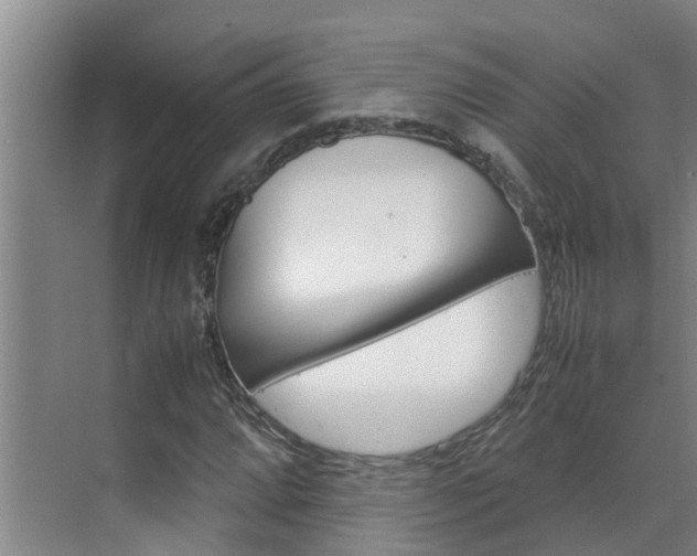 X0000070871064200606161030