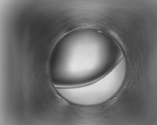 X0000070871089200606161030