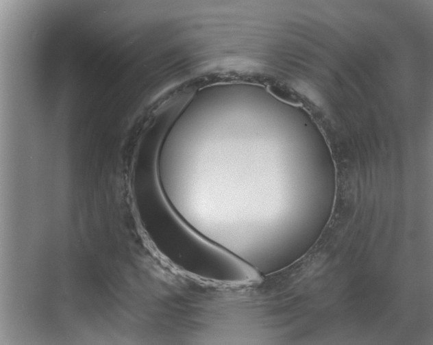 X0000070871112200606161029