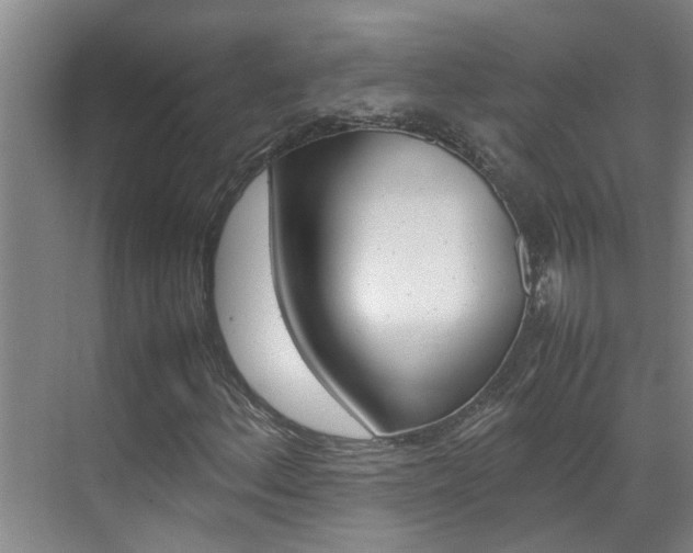 X0000070871156200606161029