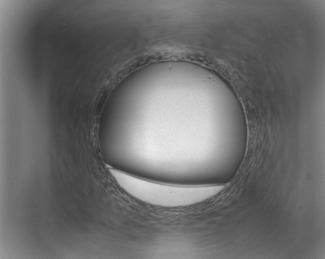 X0000070871157200606161029
