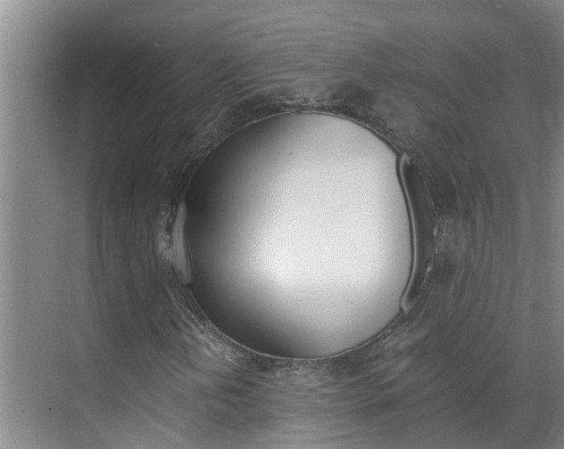 X0000070871202200606161027
