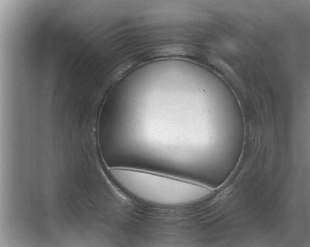 X0000070871225200606161028