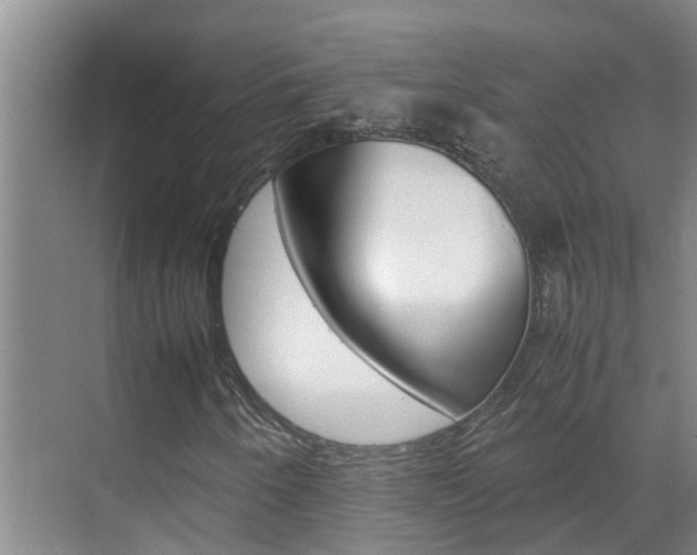 X0000070871250200606161027
