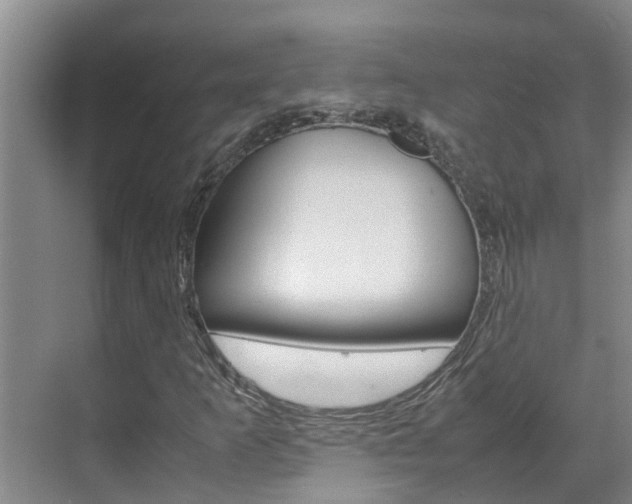 X0000070871253200606161027