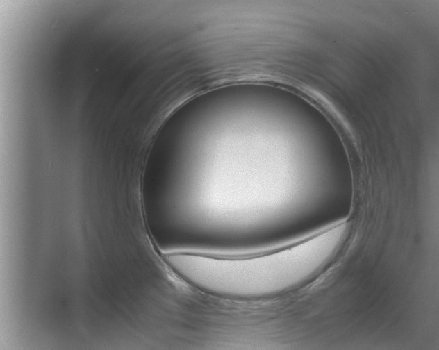X0000070871289200606161027