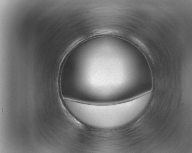X0000070871330200606161026