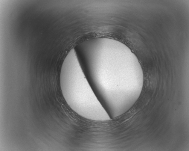 X0000070871346200606161026