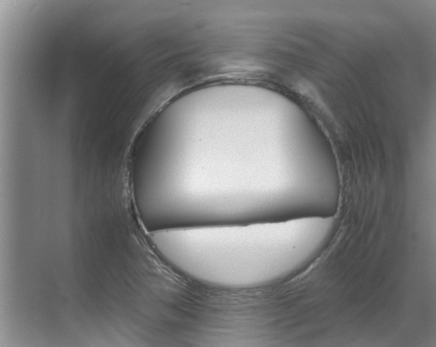 X0000070871362200606161025