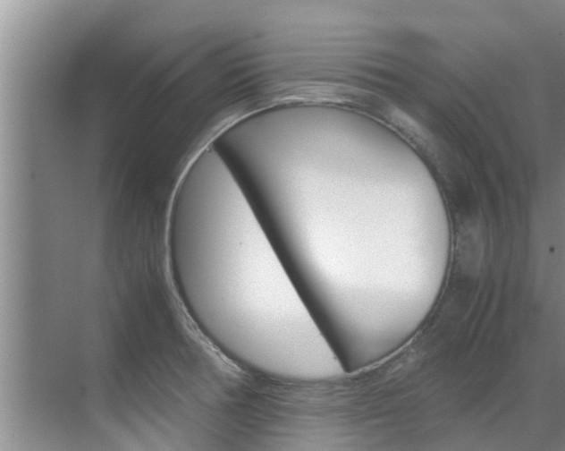 X0000070871378200606161025