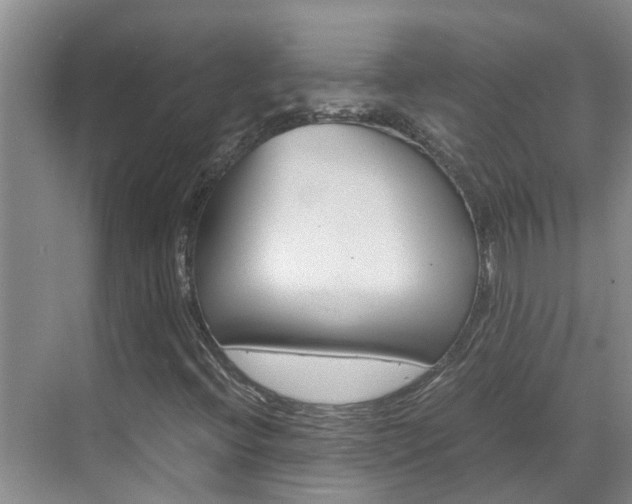 X0000070871396200606161024