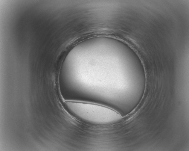 X0000070871402200606161024