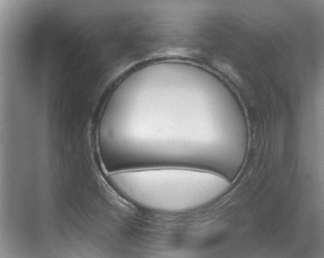 X0000070871404200606161024