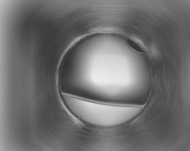 X0000070871424200606161025