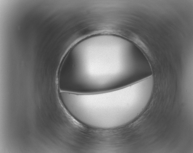 X0000070871428200606161025