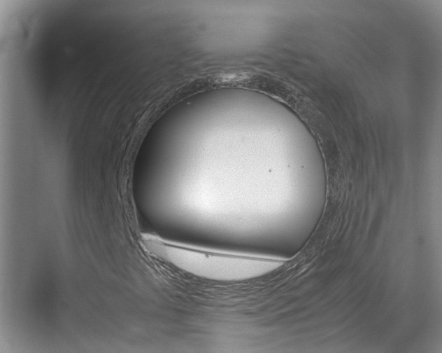 X0000070871441200606161024