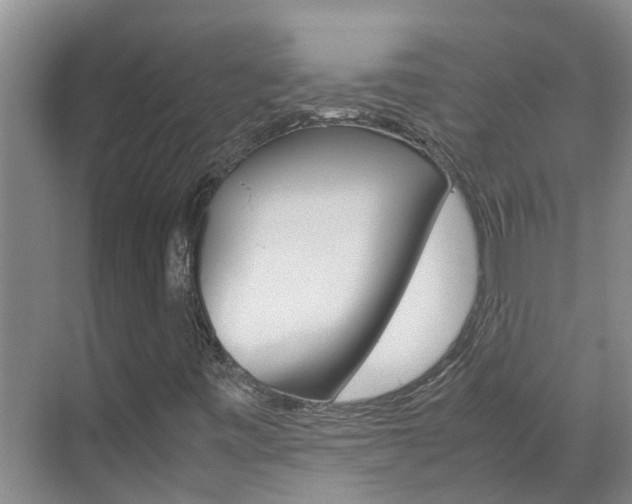 X0000070871443200606161024