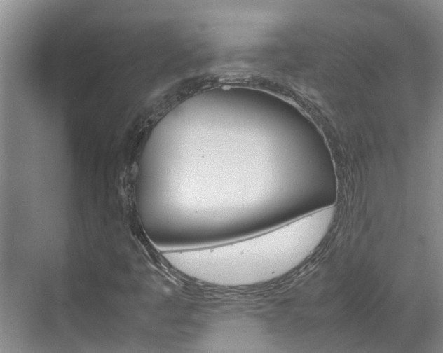 X0000070871445200606161024