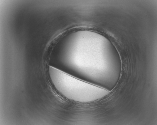 X0000070871448200606161024