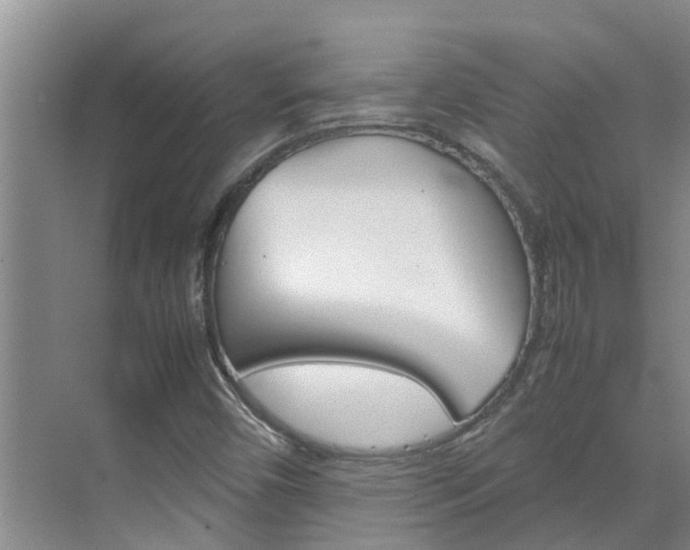 X0000070871450200606161024