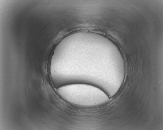X0000070871451200606161024