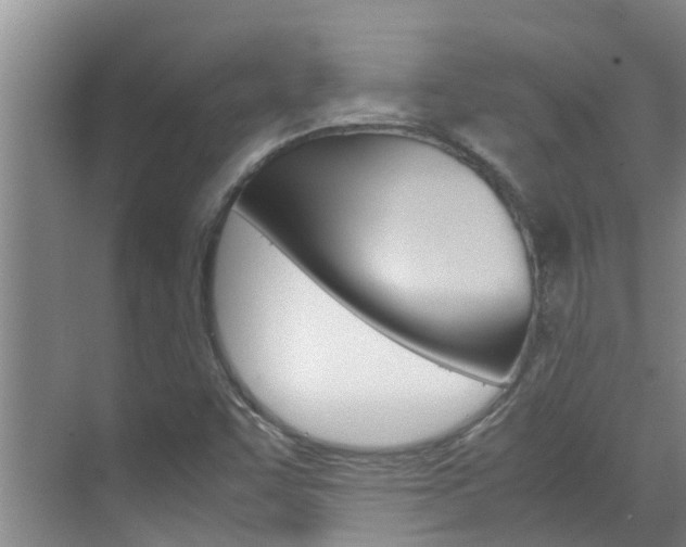 X0000070871455200606161024
