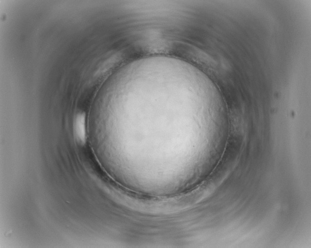 X0000070870028200606161217