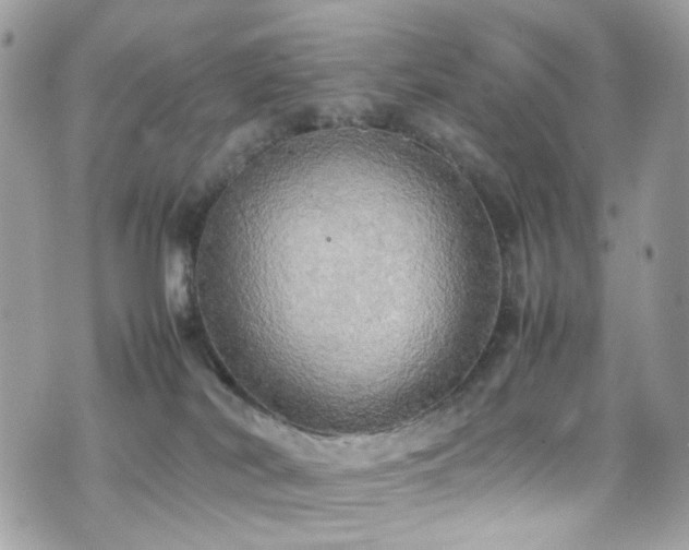 X0000070870038200606161217