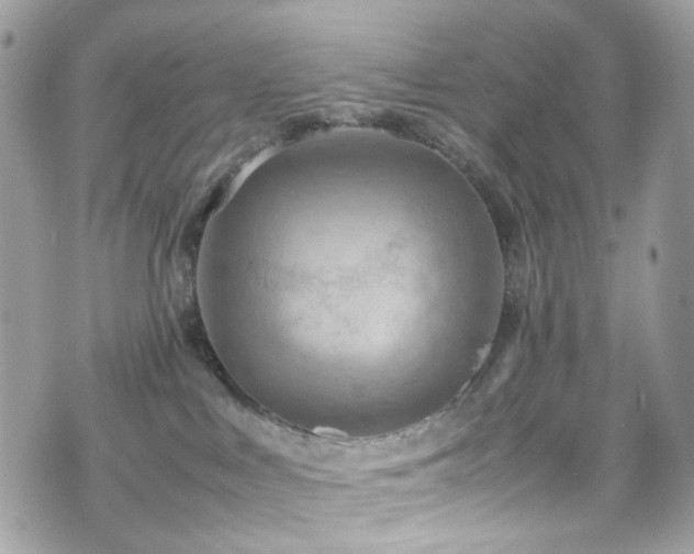 X0000070870043200606161216