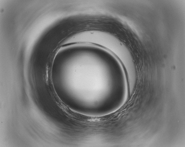 X0000070870052200606161216