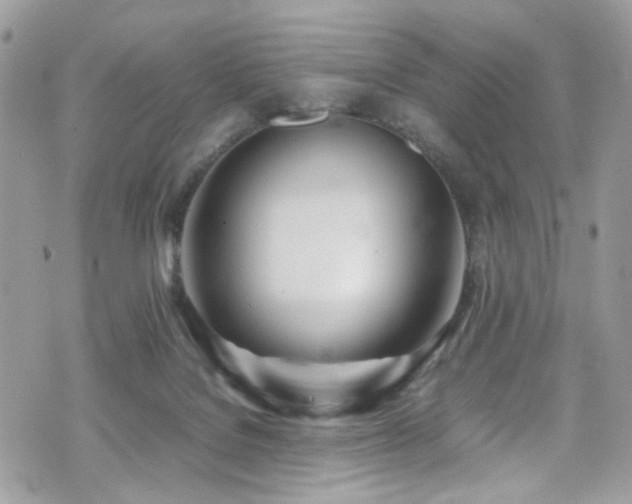 X0000070870076200606161216