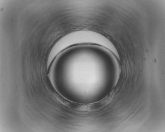 X0000070870084200606161216