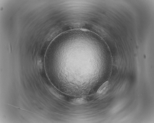 X0000070870086200606161216