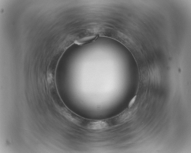 X0000070870087200606161216