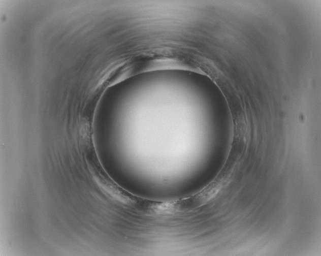 X0000070870092200606161216