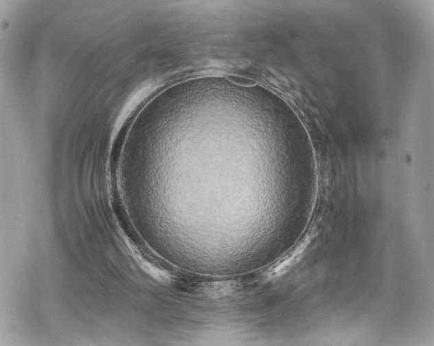 X0000070870102200606161216