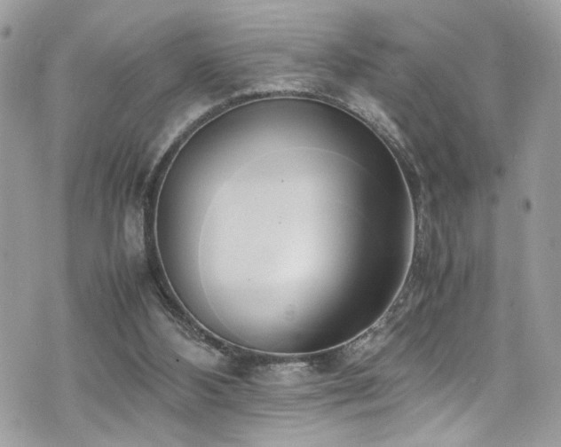 X0000070870108200606161215