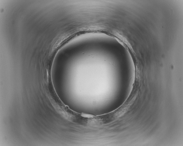 X0000070870109200606161215