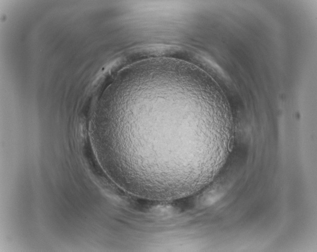 X0000070870119200606161215
