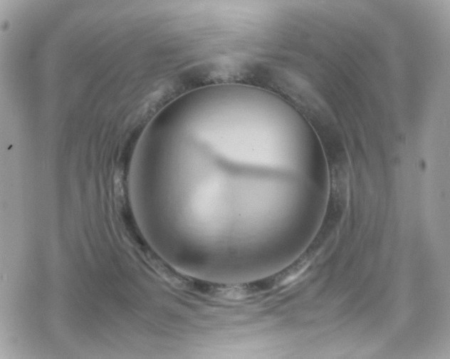 X0000070870127200606161215