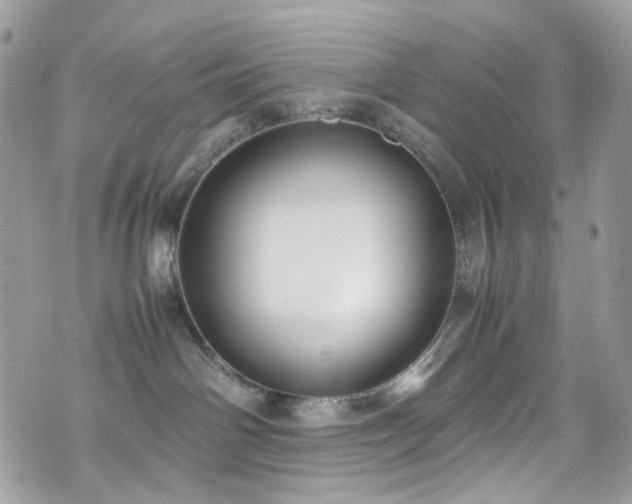 X0000070870142200606161215